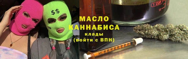 мдпв Богородицк